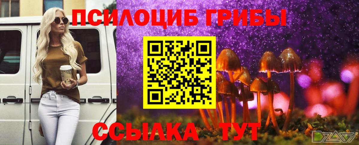 Галлюциногенные грибы Cubensis Братск