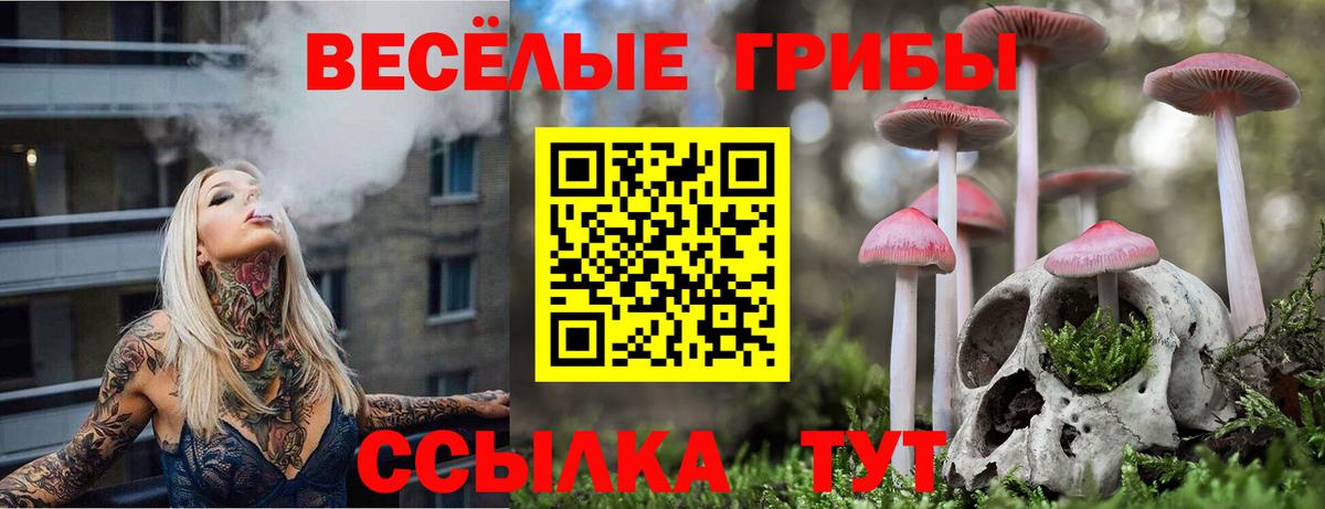 Братск  Галлюциногенные грибы ЛСД  Вход с VPN 